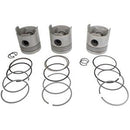 PISTON & RING KIT