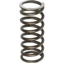TISCO Intake & Exhaust Valve Spring for Ford, D6NN6513A