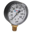 160 PSI DRY GAUGE  2-1/2" DIAMETER CASE