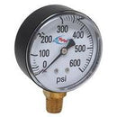 600 PSI DRY GAUGE  2-1/2" DIAMETER