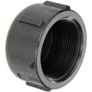 2 INCH FNPT  POLY CAP