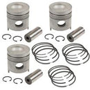 PISTON & RING KIT, STANDARD