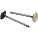 TISCO Intake Valve for Massey Ferguson, 31431822