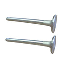 Intake Valve