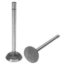 Intake Valve