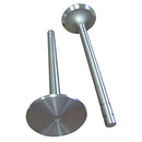 Intake Valve