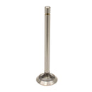 Intake Valve