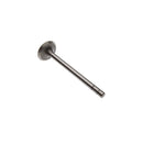 Intake Valve