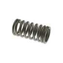 Valve Spring