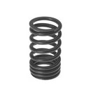 Intake Valve Spring