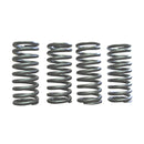 Valve Spring