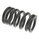 Valve Spring