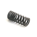 Intake Valve Spring