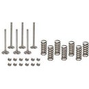 VALVE OVERHAUL KIT