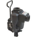 BANJO CAST IRON PUMP ONLY