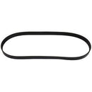 FAN BELT