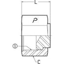 1/2 FEMALE OFS SWIVEL - CAP - STEEL