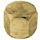 1/2 FEMALE JIC - CAP - STEEL