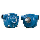 Delavan Cast Iron 8-Roller Pump - 24 GPM, 150 PSI, 1000 RPM (8900C)