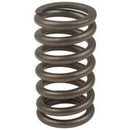 VALVE SPRING