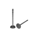 Intake Valve for International 366302R2