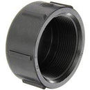3 INCH FNPT  POLY CAP