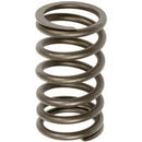 SPRING, INTAKE & EXHAUST VALVE, OUTER