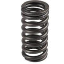 TISCO Valbe Spring for Massey Ferguson, 21176A