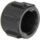 1 INCH FNPT  POLY CAP
