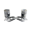Piston & Rings - Set of 2 .045" for John Deere AB5317R