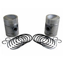 PISTON & RING SET OF 2 - Quality Farm Supply