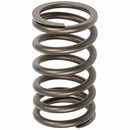 TISCO Valve Spring for Case, A30025 - Quality Farm Supply