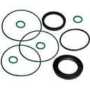 SEAL KIT-AGSMART HYDRAULIC MOTOR - VITON