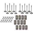 VALVE OVERHAUL KIT
