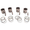 PISTON & RING KIT