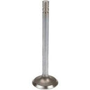 TISCO Intake Valve for International, 278301R1