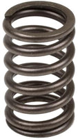 TISCO Valve Spring for Case & Case IH, J900276