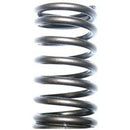 TISCO Valve Spring for International, 160907R1