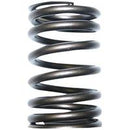TISCO Valve Spring for International, 160908R1