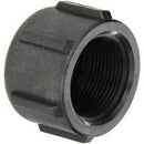 1-1/4 INCH FNPT  POLY CAP