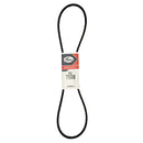 Fan Belt