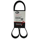 Fan Belt