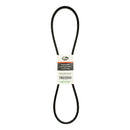 Fan Belt
