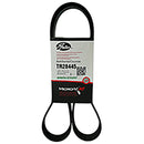 Fan Belt