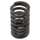 Valve Spring