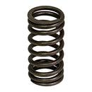 Valve Spring