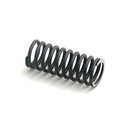 Valve Spring