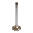 Intake Valve
