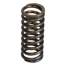Valve Spring