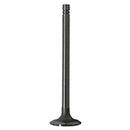 Exhaust Valve